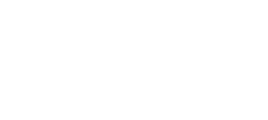 conad logo